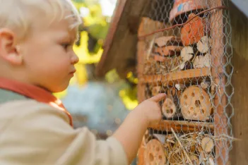 Little boy looking at insect hotel.
