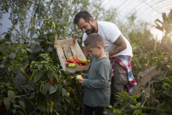 Man and boy gardening
