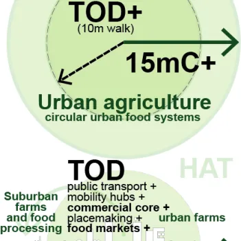 HAT10
