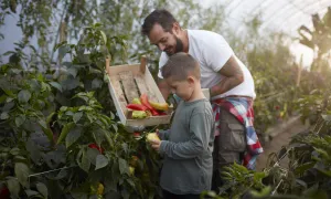 Man and boy gardening