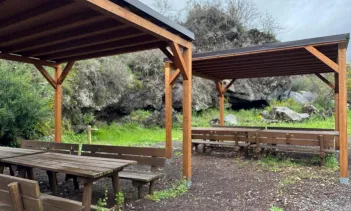 Tables and chairs in a garden