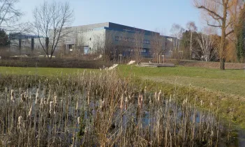 picture of a park